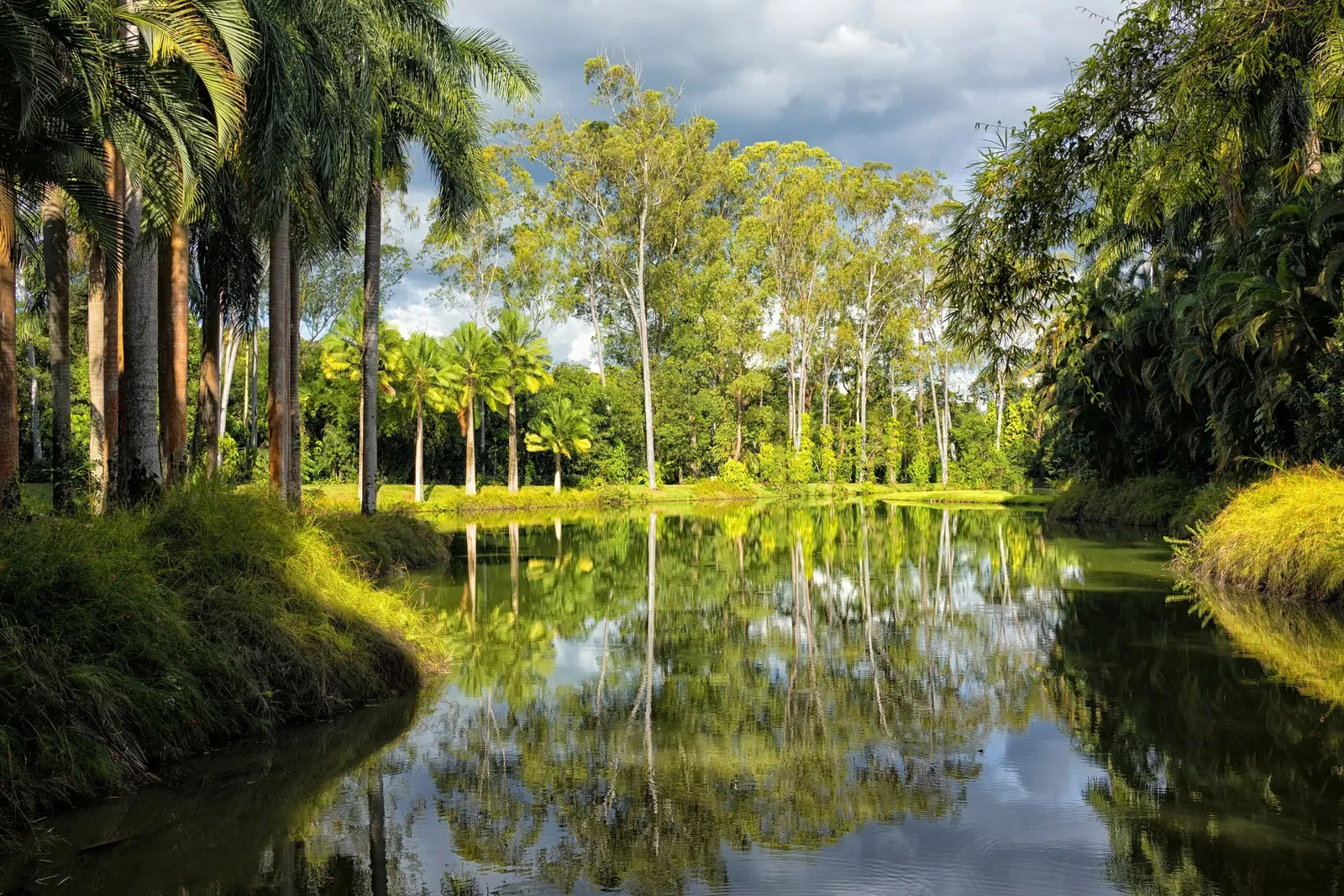 Beeldenpark van het Centro de Arte Contemporânea Inhotim