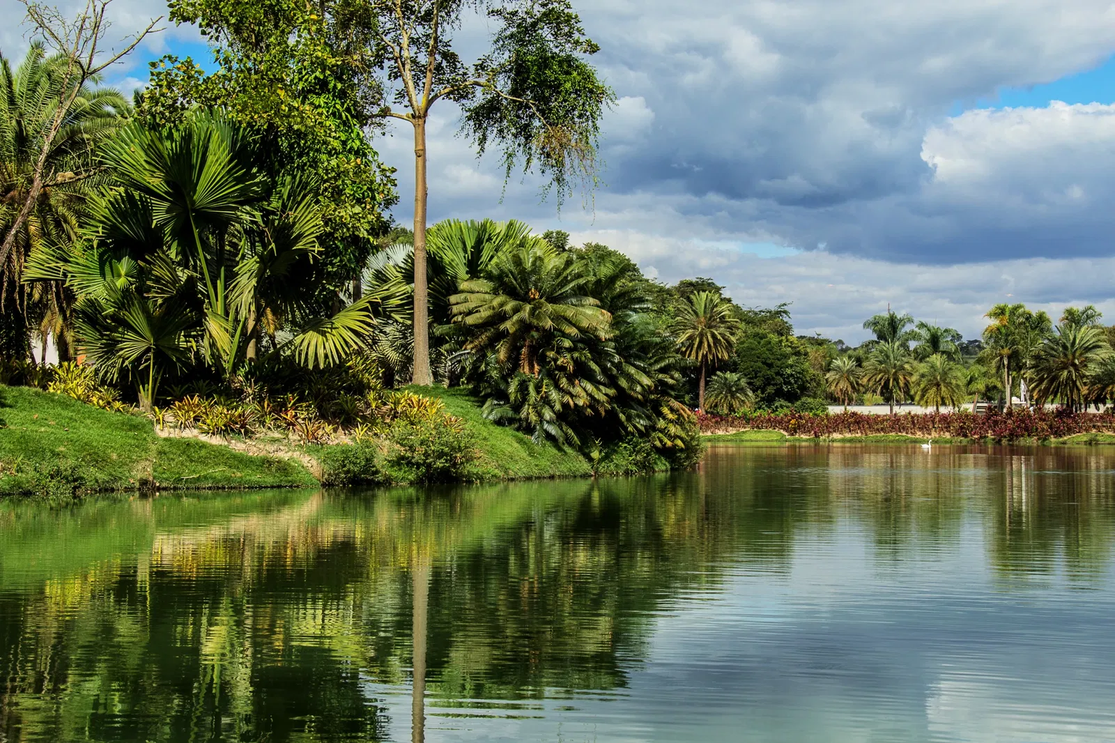 Centro de Arte Contemporânea Inhotim