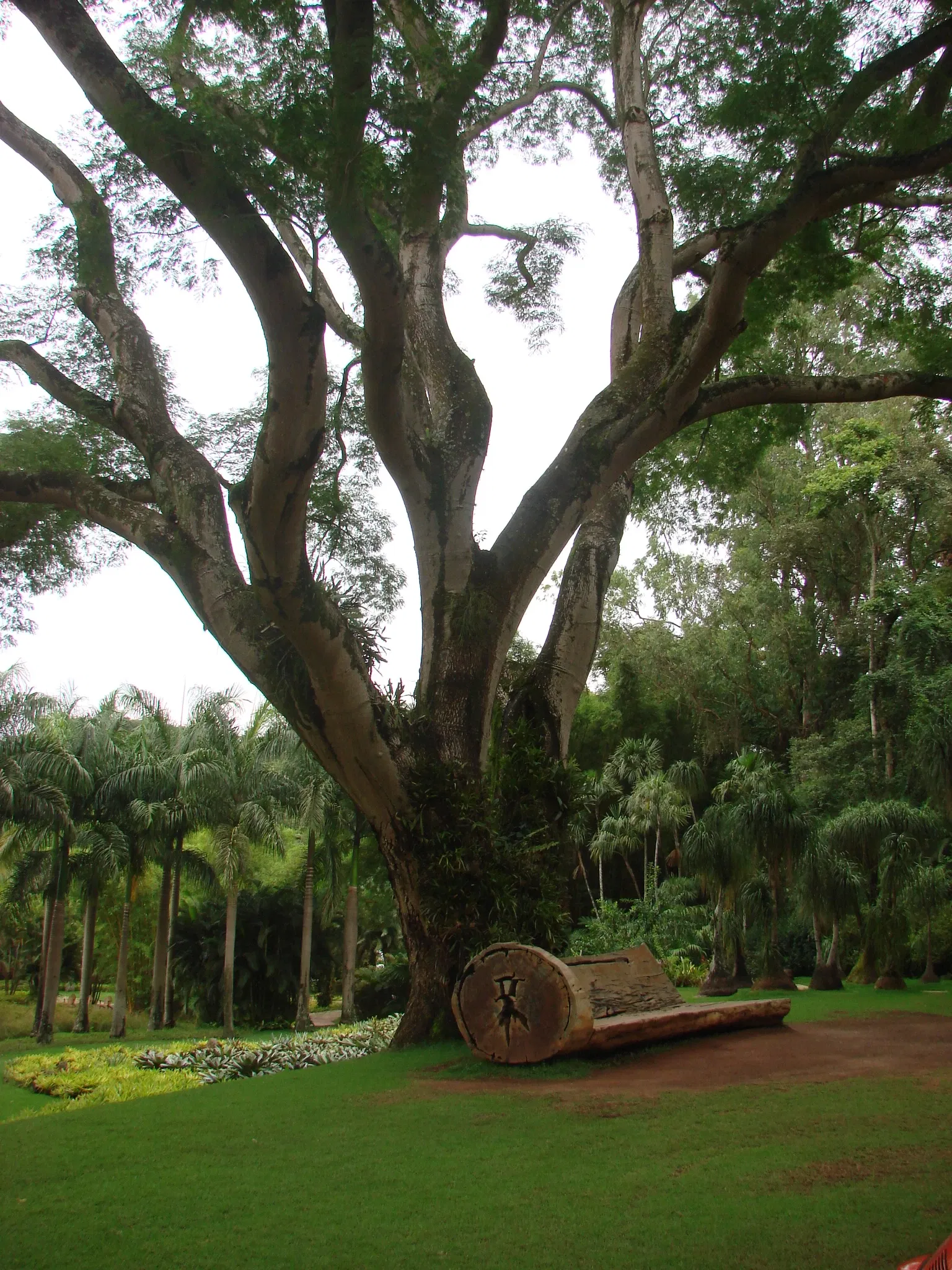 Beeldenpark van het Centro de Arte Contemporânea Inhotim
