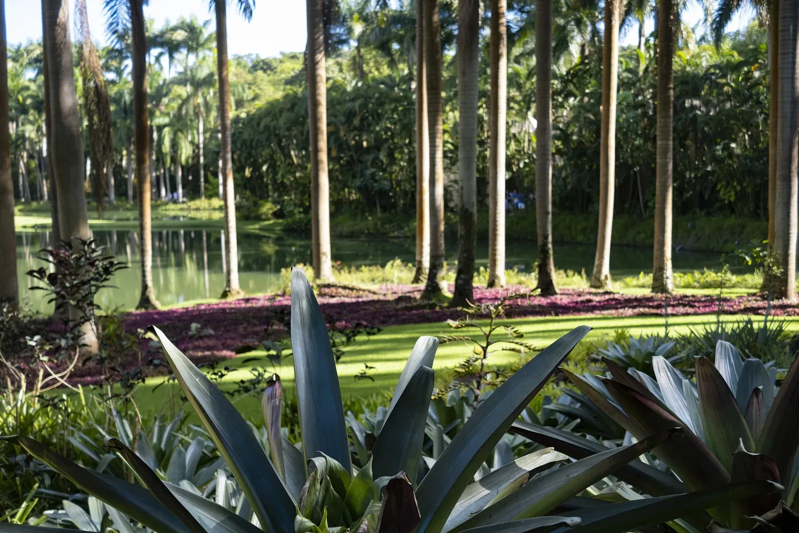 Centro de Arte Contemporânea Inhotim