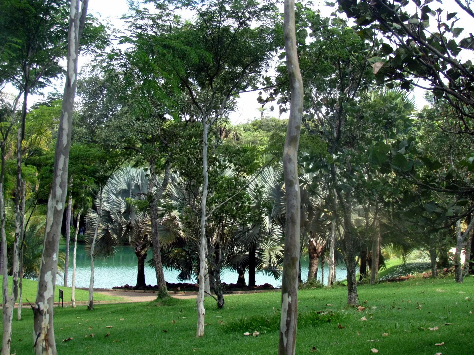 Centro de Arte Contemporânea Inhotim