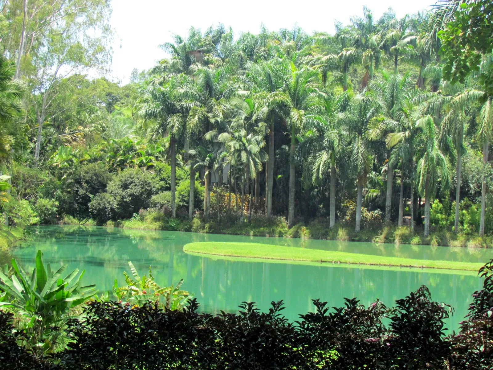 Centro de Arte Contemporânea Inhotim