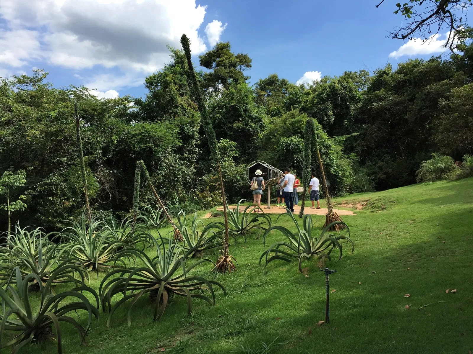 Centro de Arte Contemporânea Inhotim