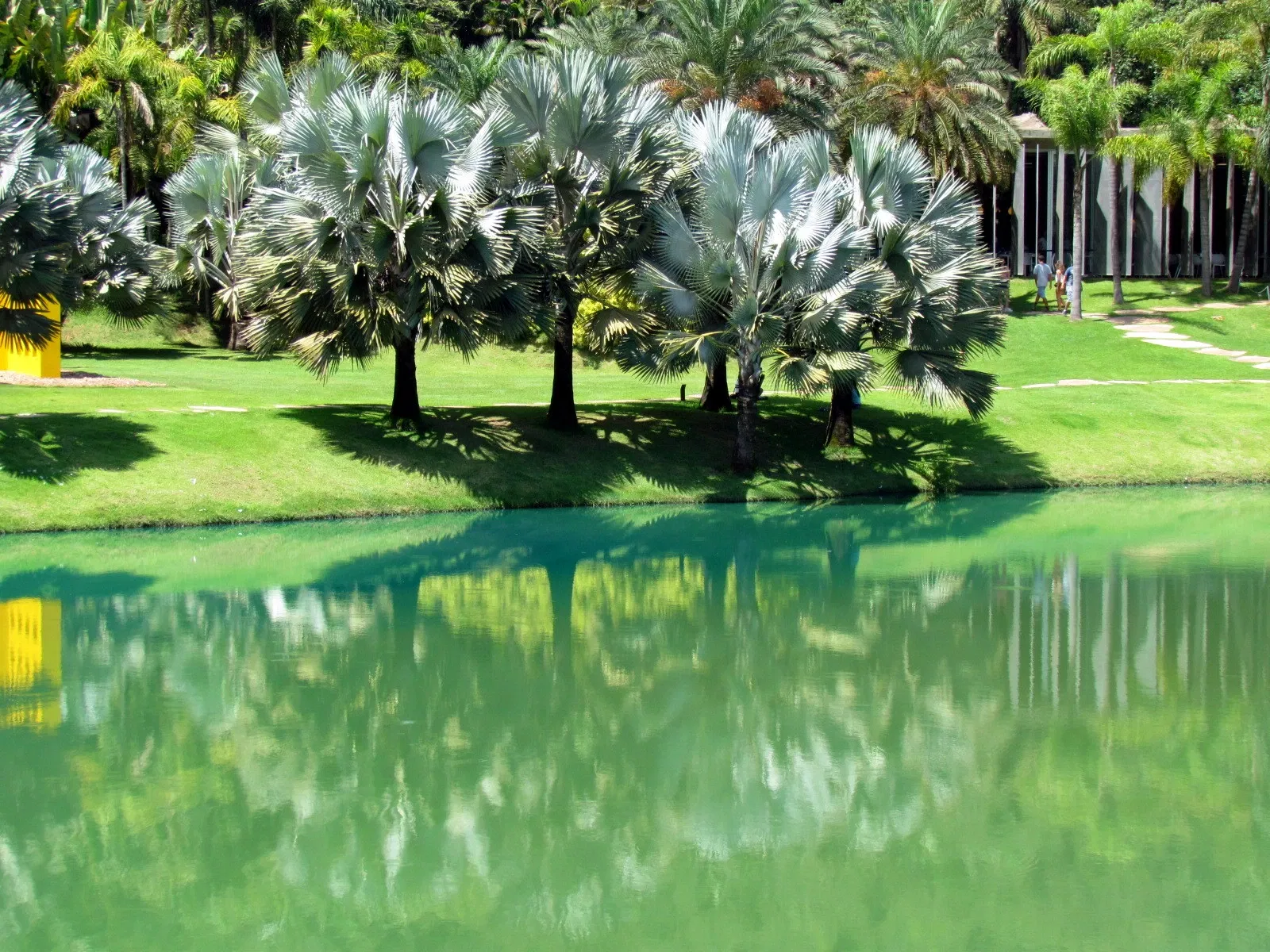 Centro de Arte Contemporânea Inhotim