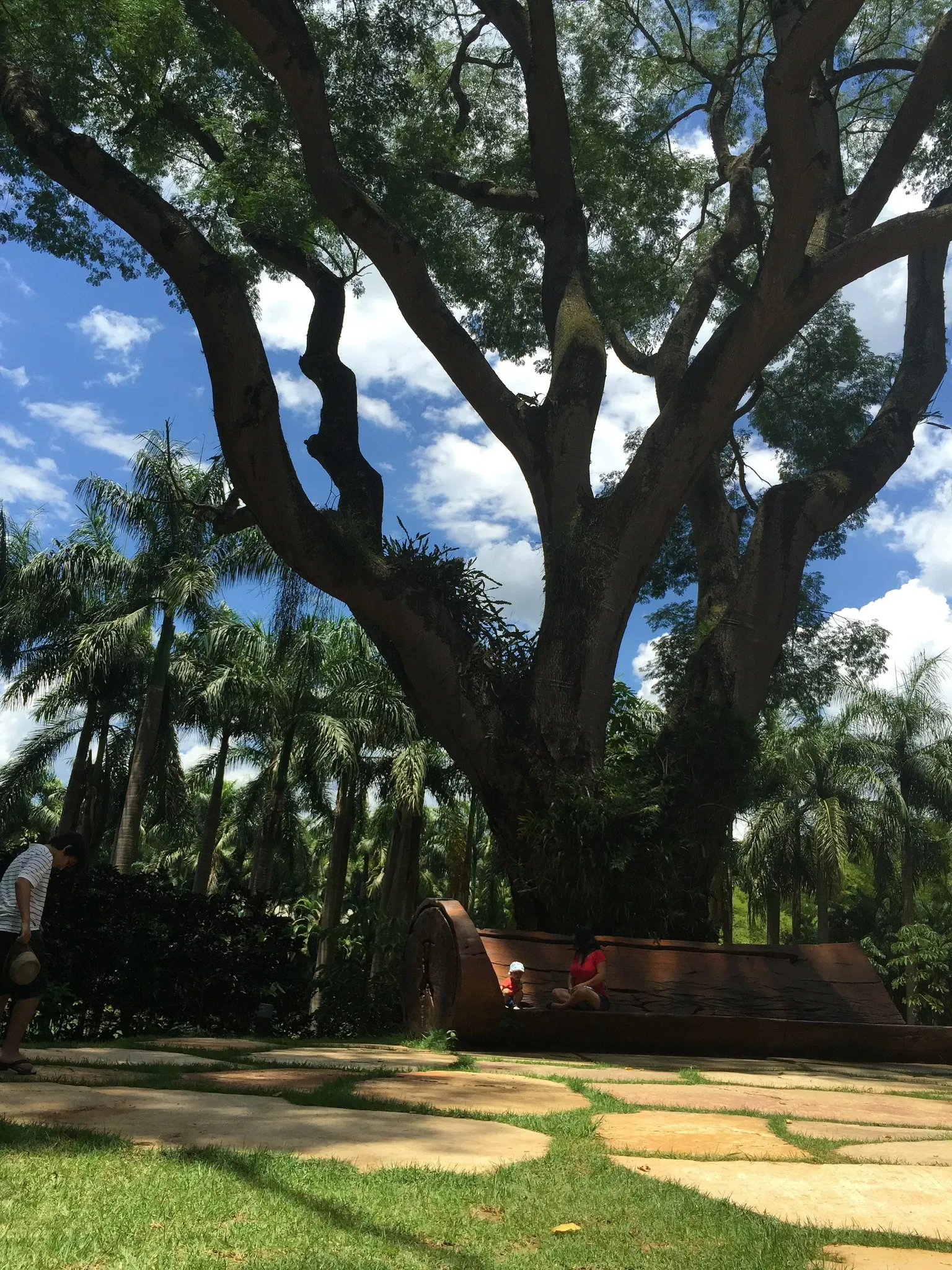 Beeldenpark van het Centro de Arte Contemporânea Inhotim