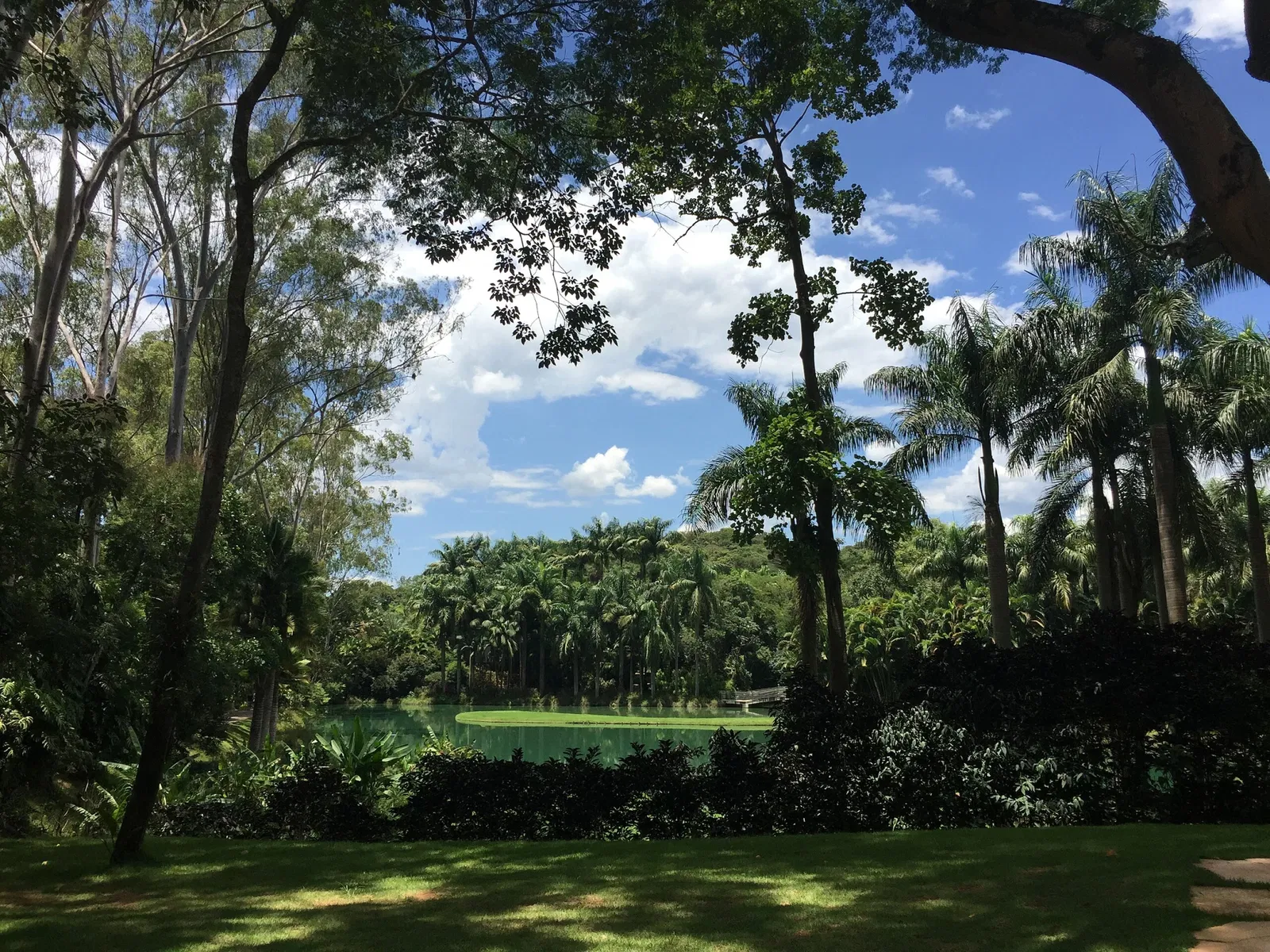 Beeldenpark van het Centro de Arte Contemporânea Inhotim