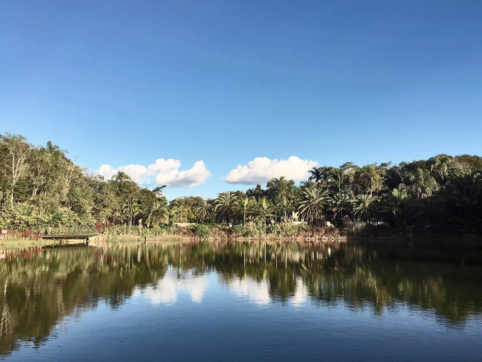 Beeldenpark van het Centro de Arte Contemporânea Inhotim