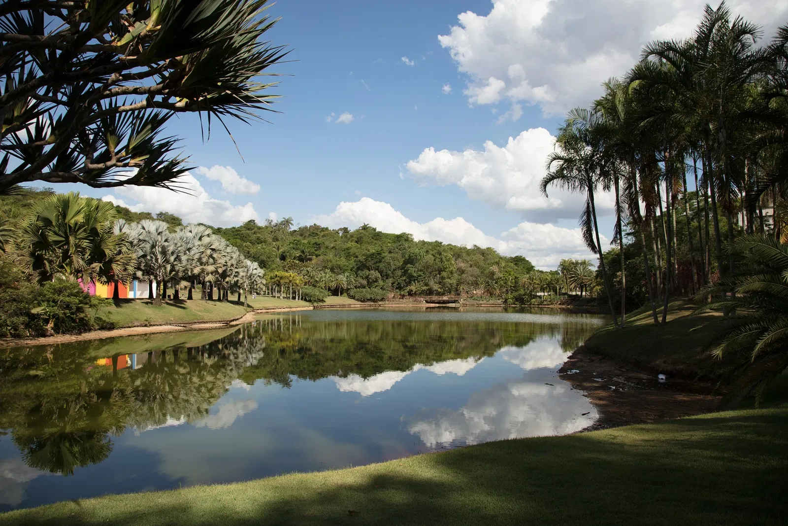 Centro de Arte Contemporânea Inhotim