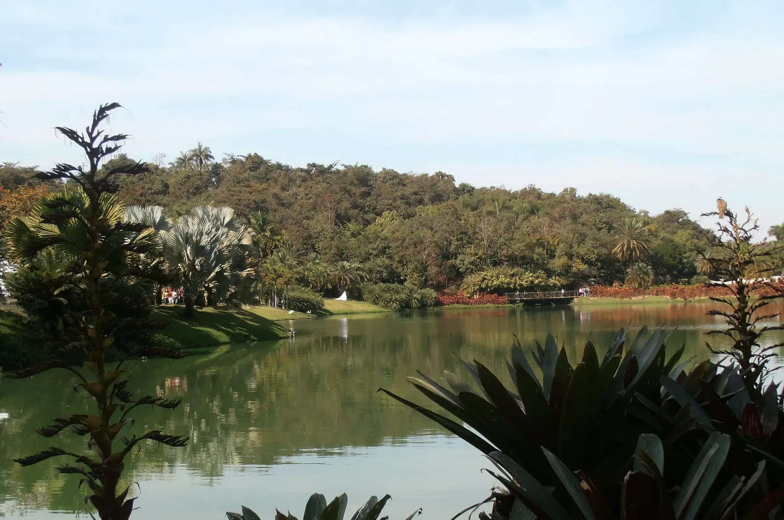 Beeldenpark van het Centro de Arte Contemporânea Inhotim