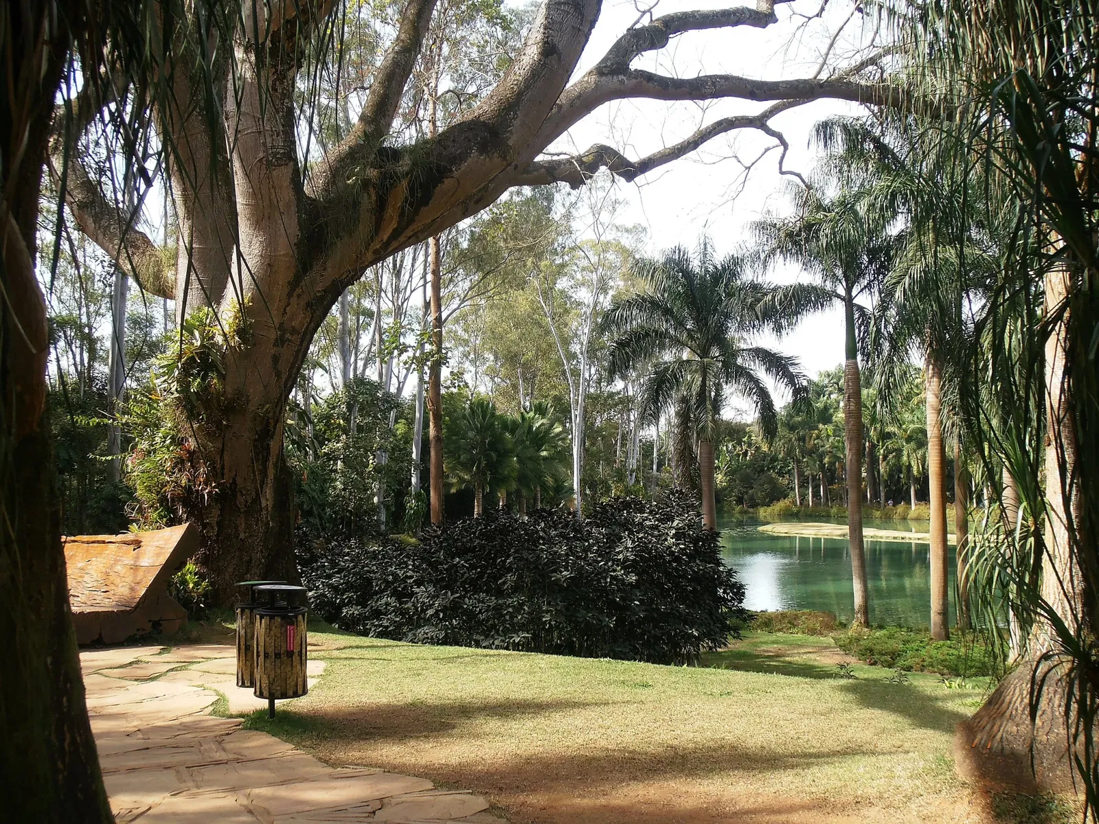 Centro de Arte Contemporânea Inhotim