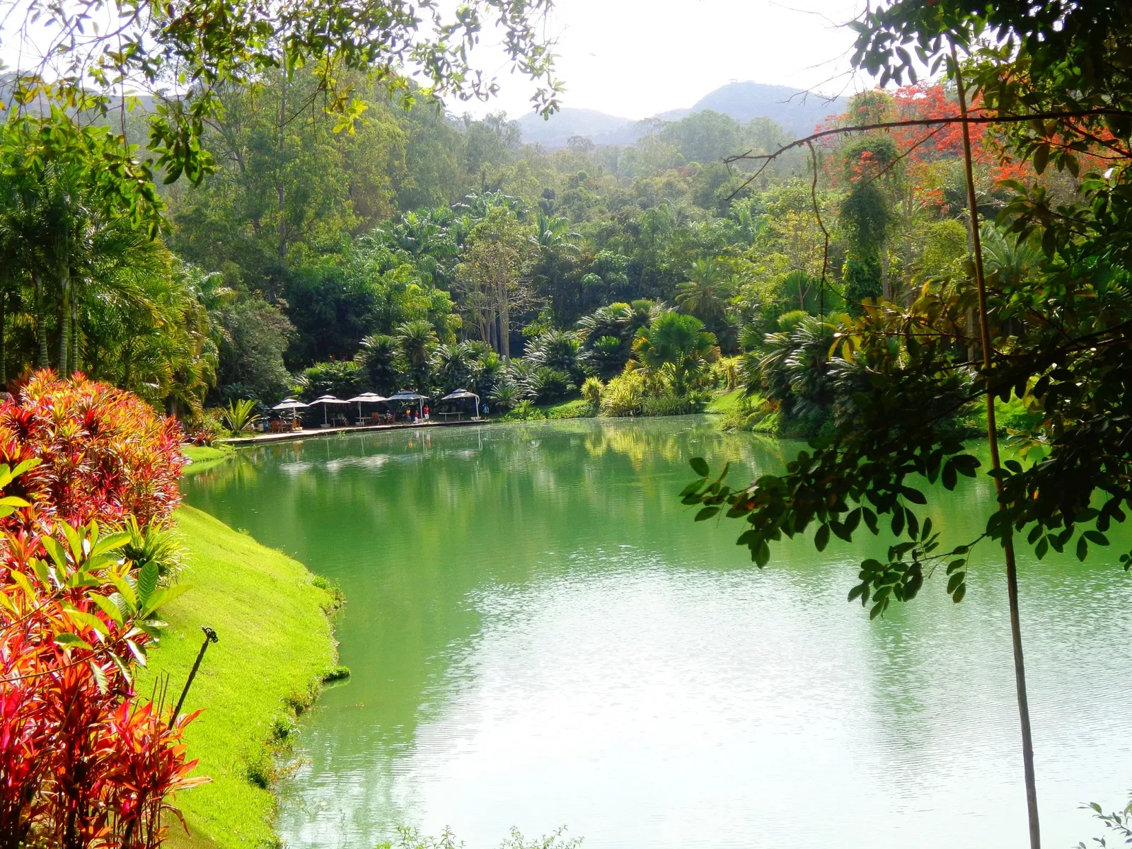 Beeldenpark van het Centro de Arte Contemporânea Inhotim