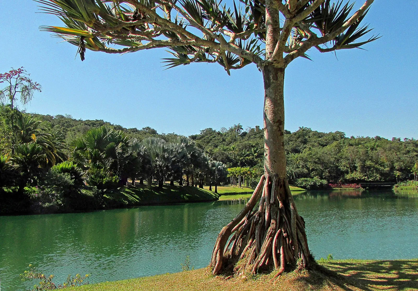 Centro de Arte Contemporânea Inhotim