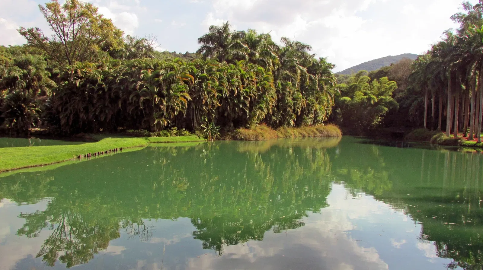 Centro de Arte Contemporânea Inhotim