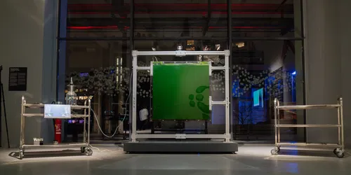 Sensing Otherness / Navigating the more-than-human world