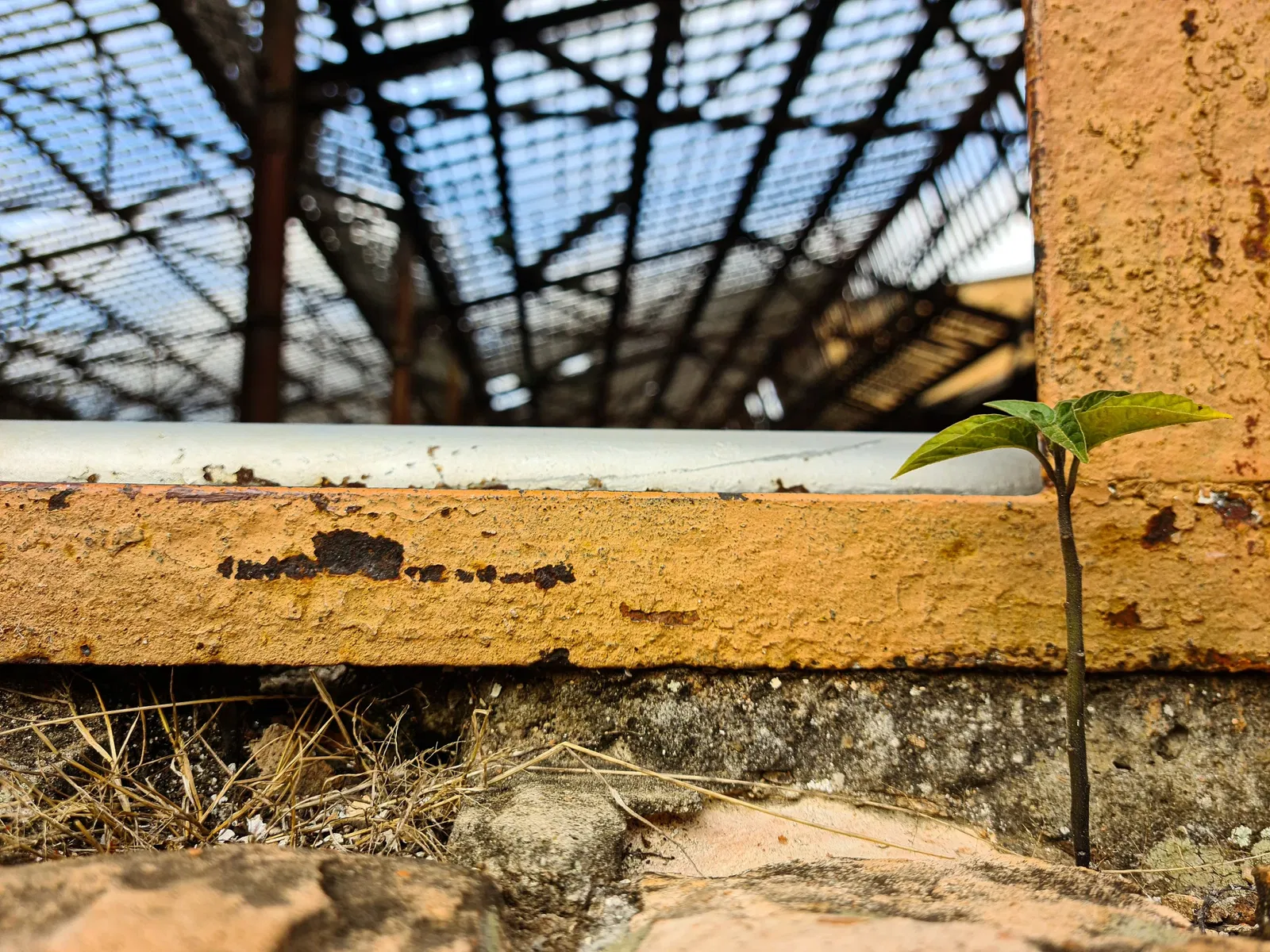 Companhia Paulista Museum