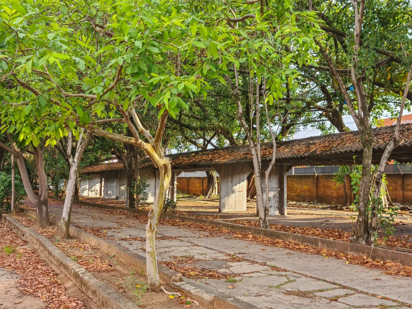 Companhia Paulista Museum