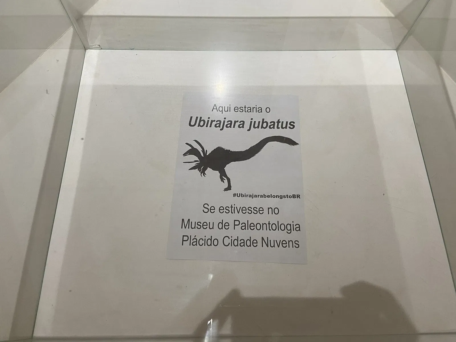 Museu de Paleontologia Plácido Cidade Nuvens