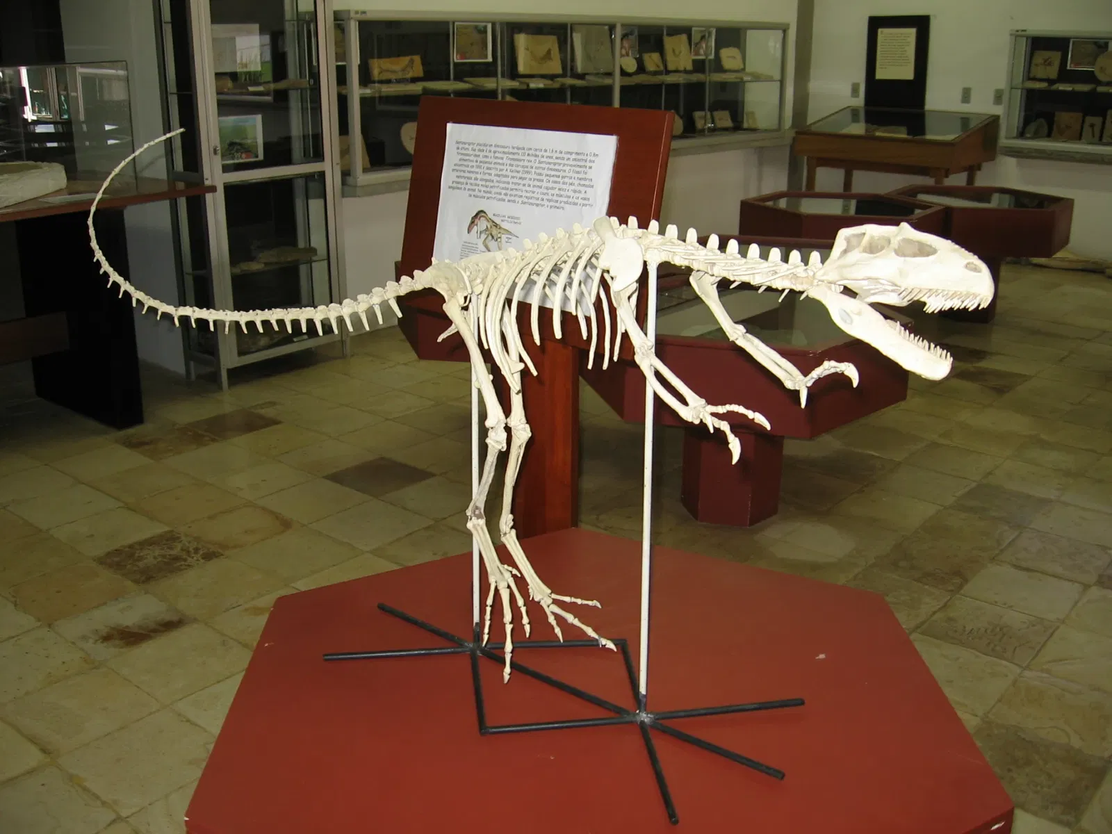 Museu de Paleontologia Plácido Cidade Nuvens