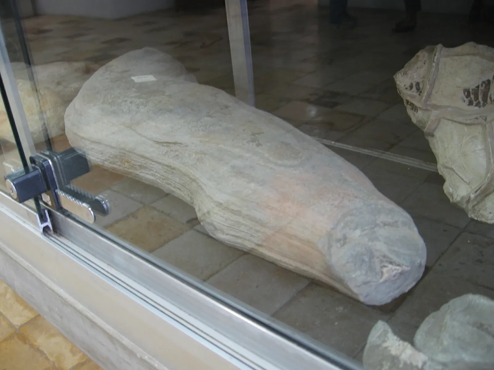 Museu de Paleontologia Plácido Cidade Nuvens