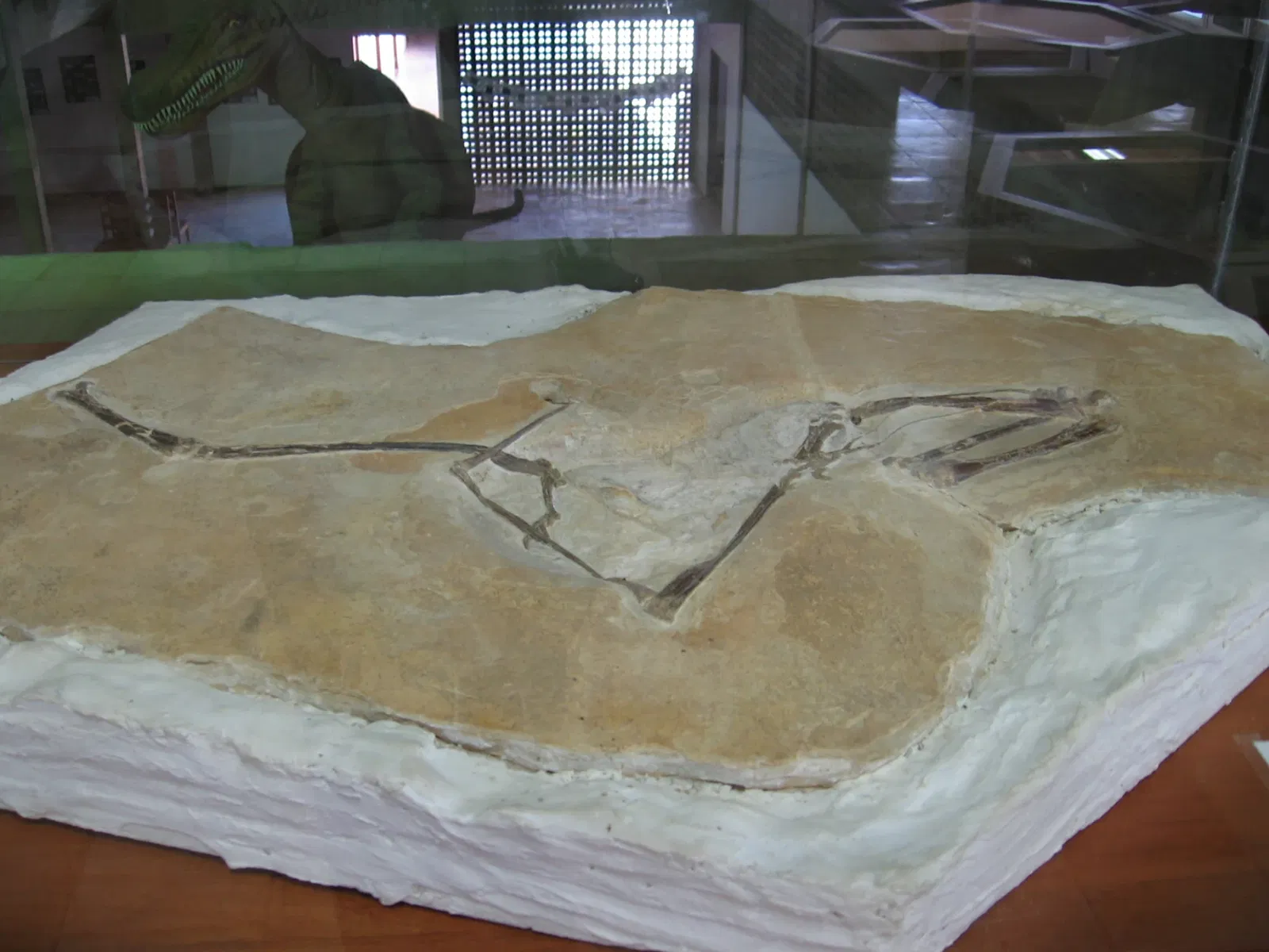 Museu de Paleontologia Plácido Cidade Nuvens