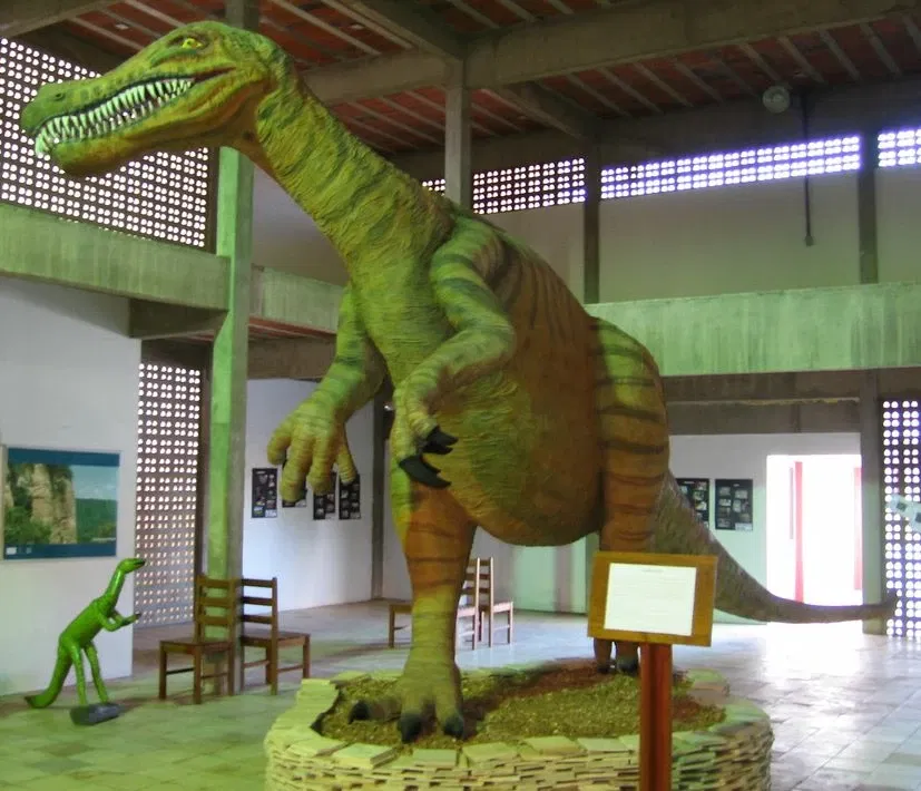 Museu de Paleontologia Plácido Cidade Nuvens
