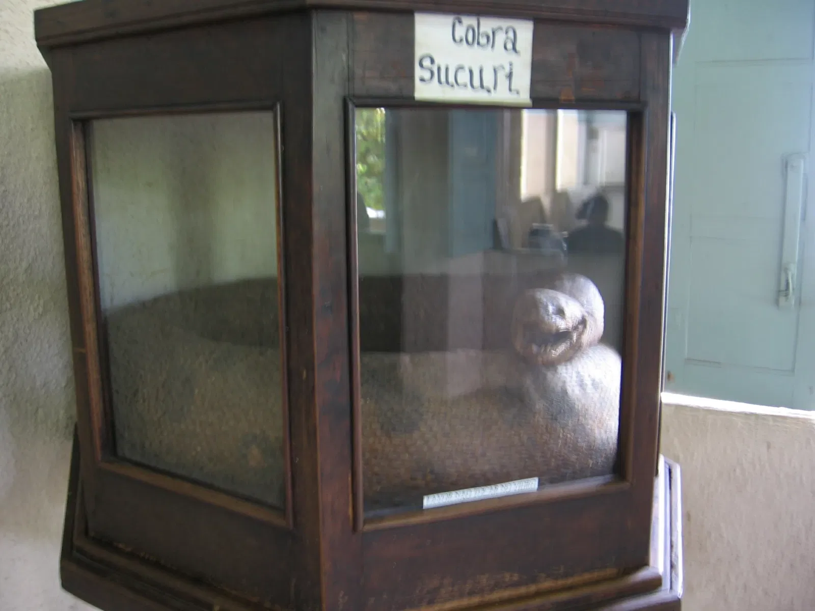 Museu Vivo do Padre Cícero