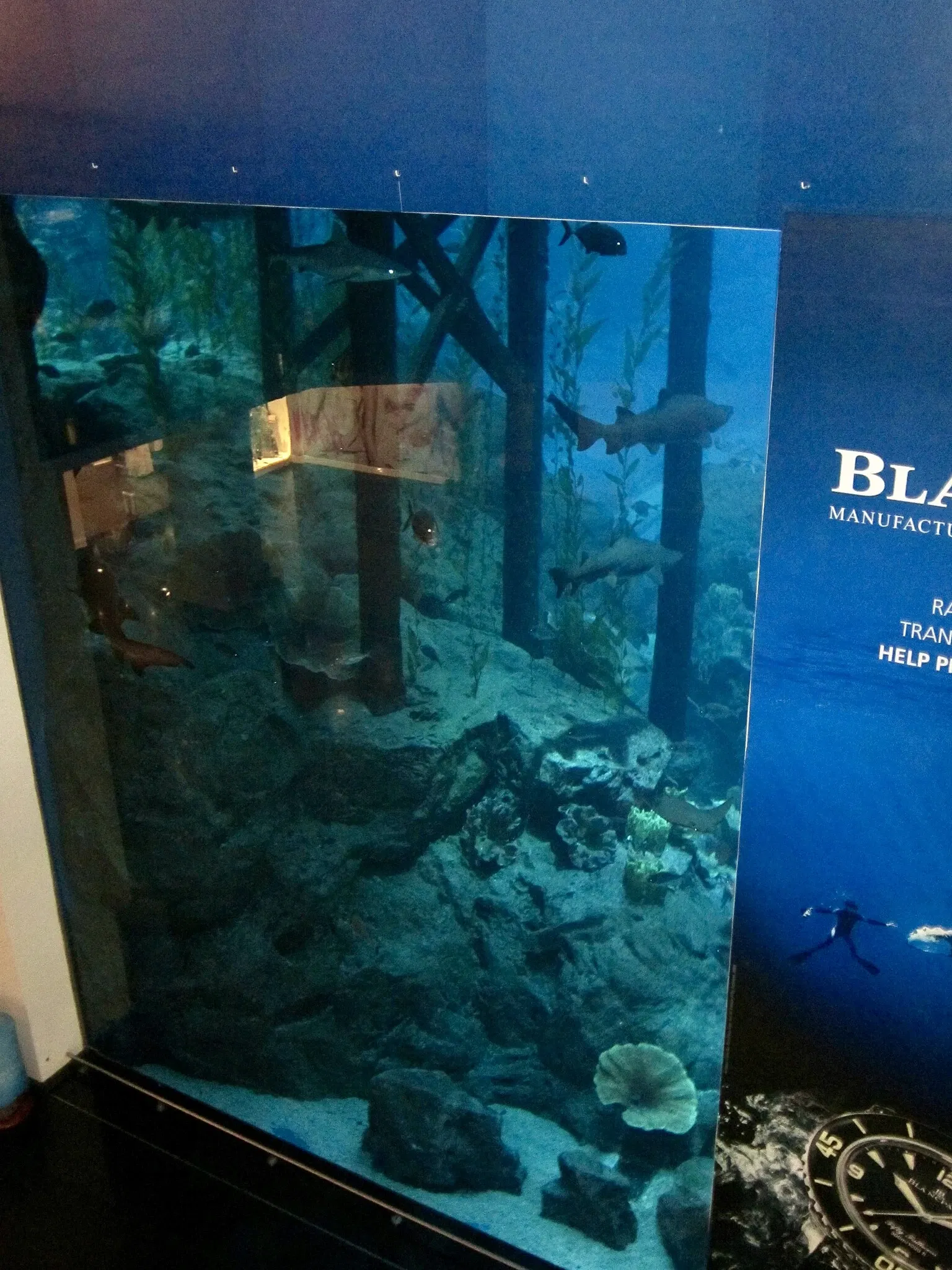 Dubai Aquarium & Underwater Zoo