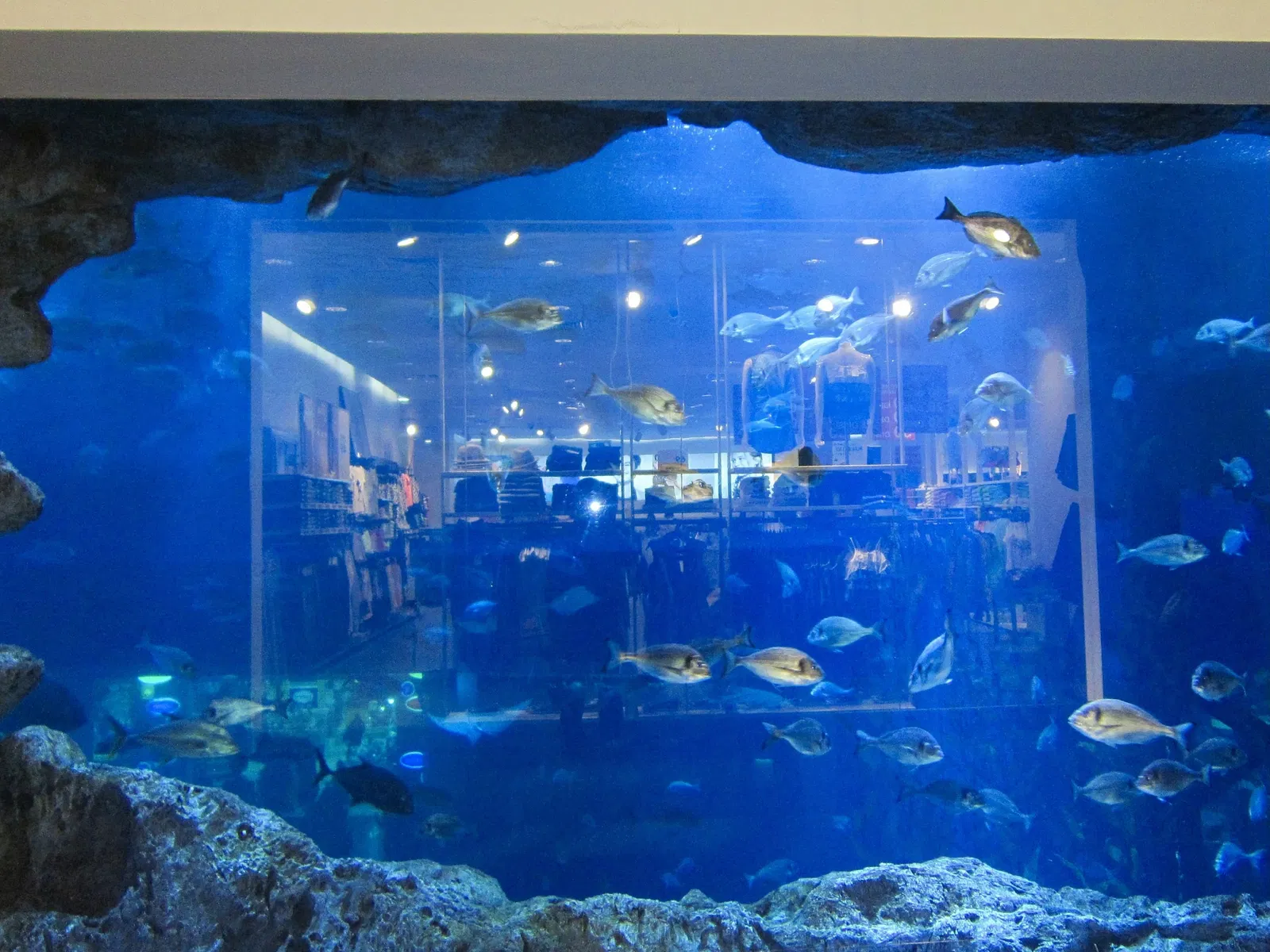 Dubai Aquarium & Underwater Zoo