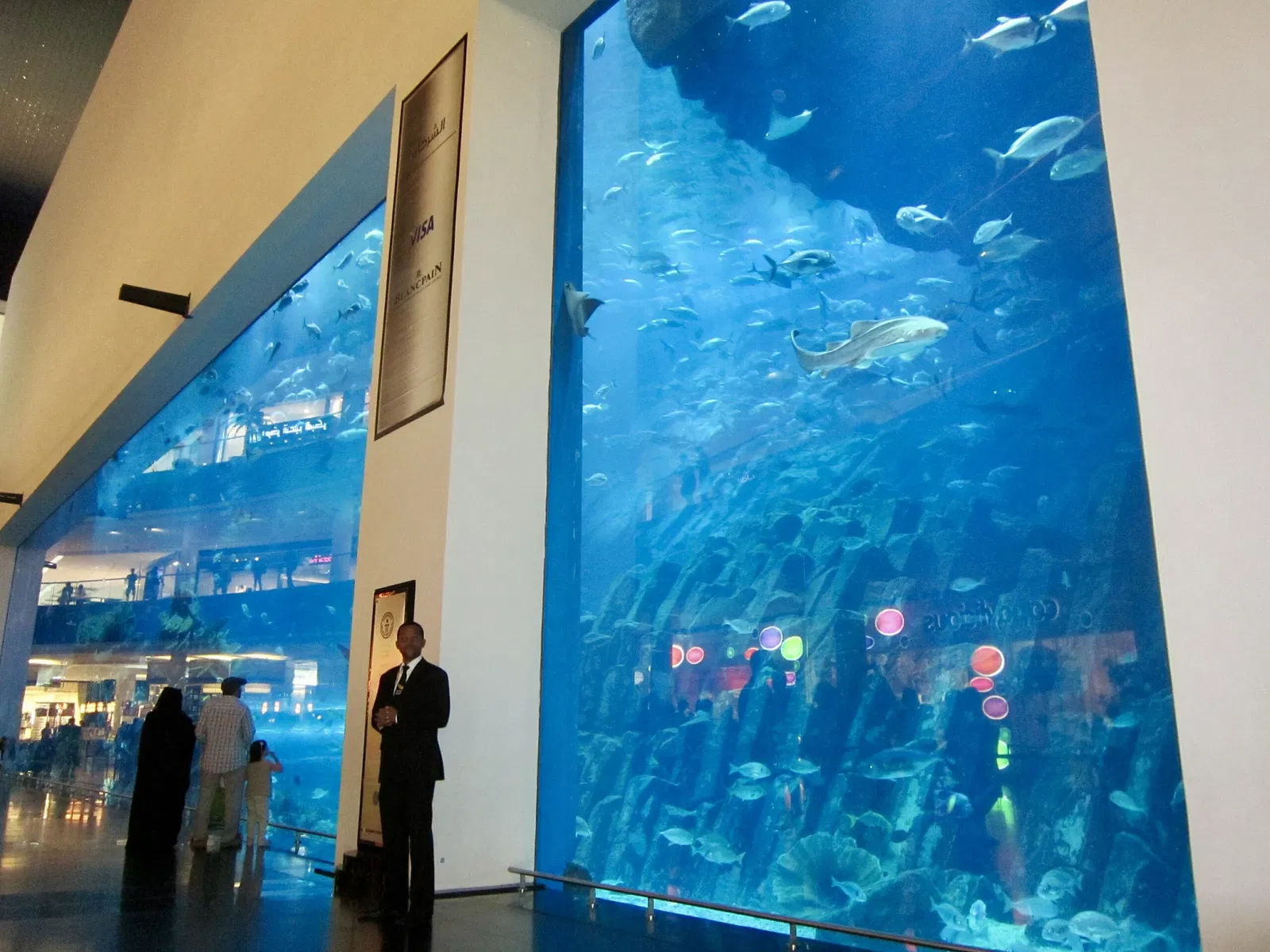 Dubai Aquarium & Underwater Zoo