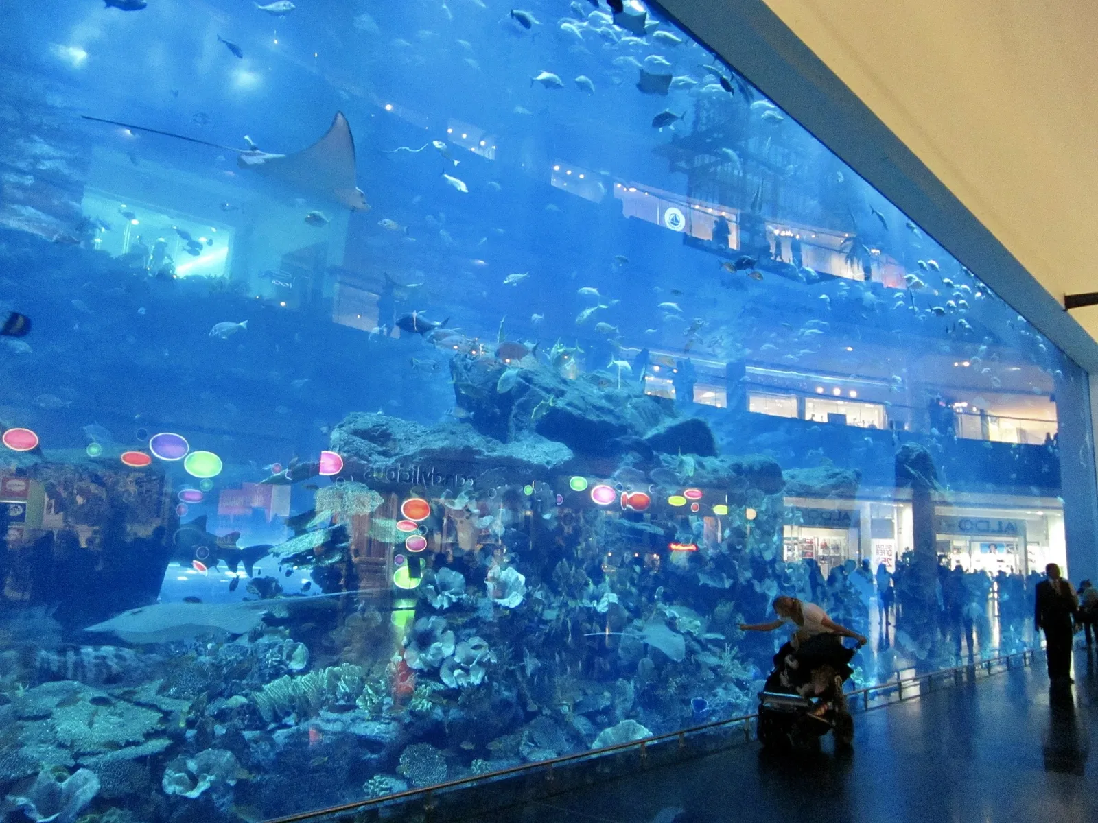 Dubai Aquarium & Underwater Zoo