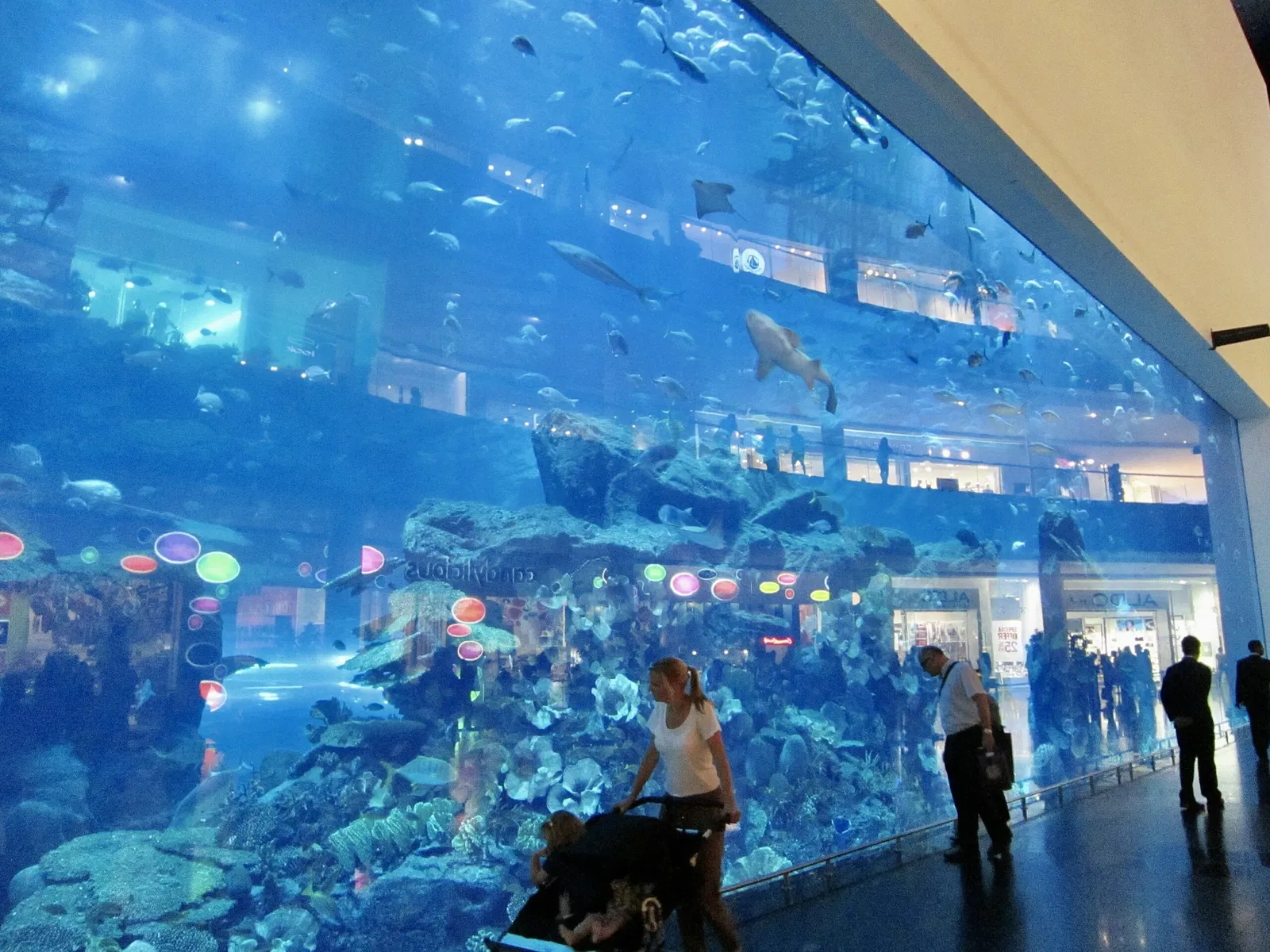Dubai Aquarium & Underwater Zoo