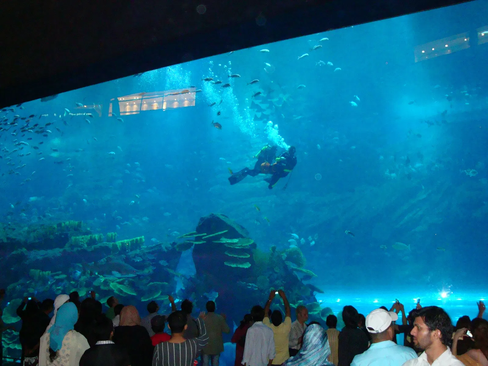 Dubai Aquarium & Underwater Zoo
