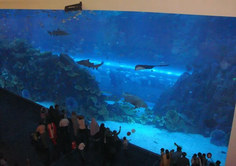 Dubai Aquarium & Underwater Zoo