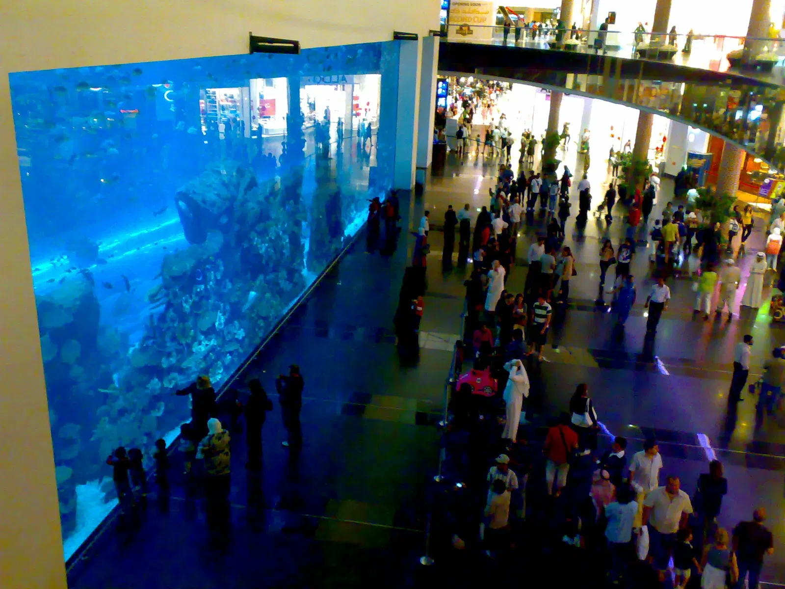 Dubai Aquarium & Underwater Zoo