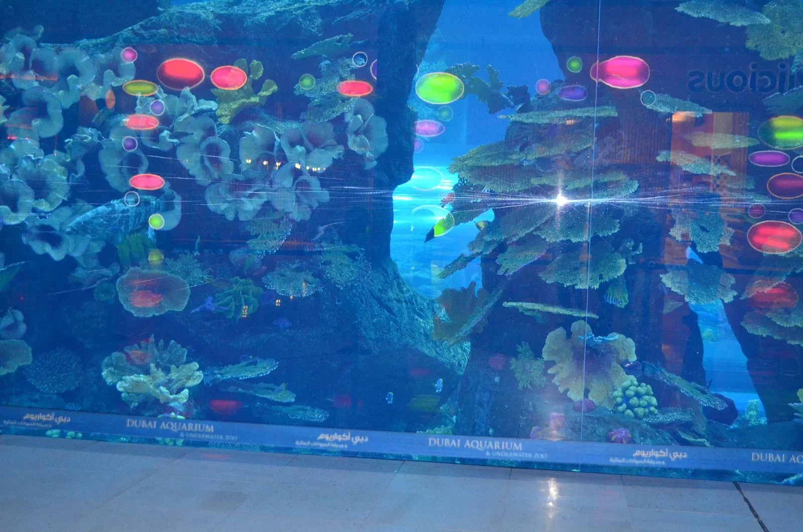 Dubai Aquarium & Underwater Zoo