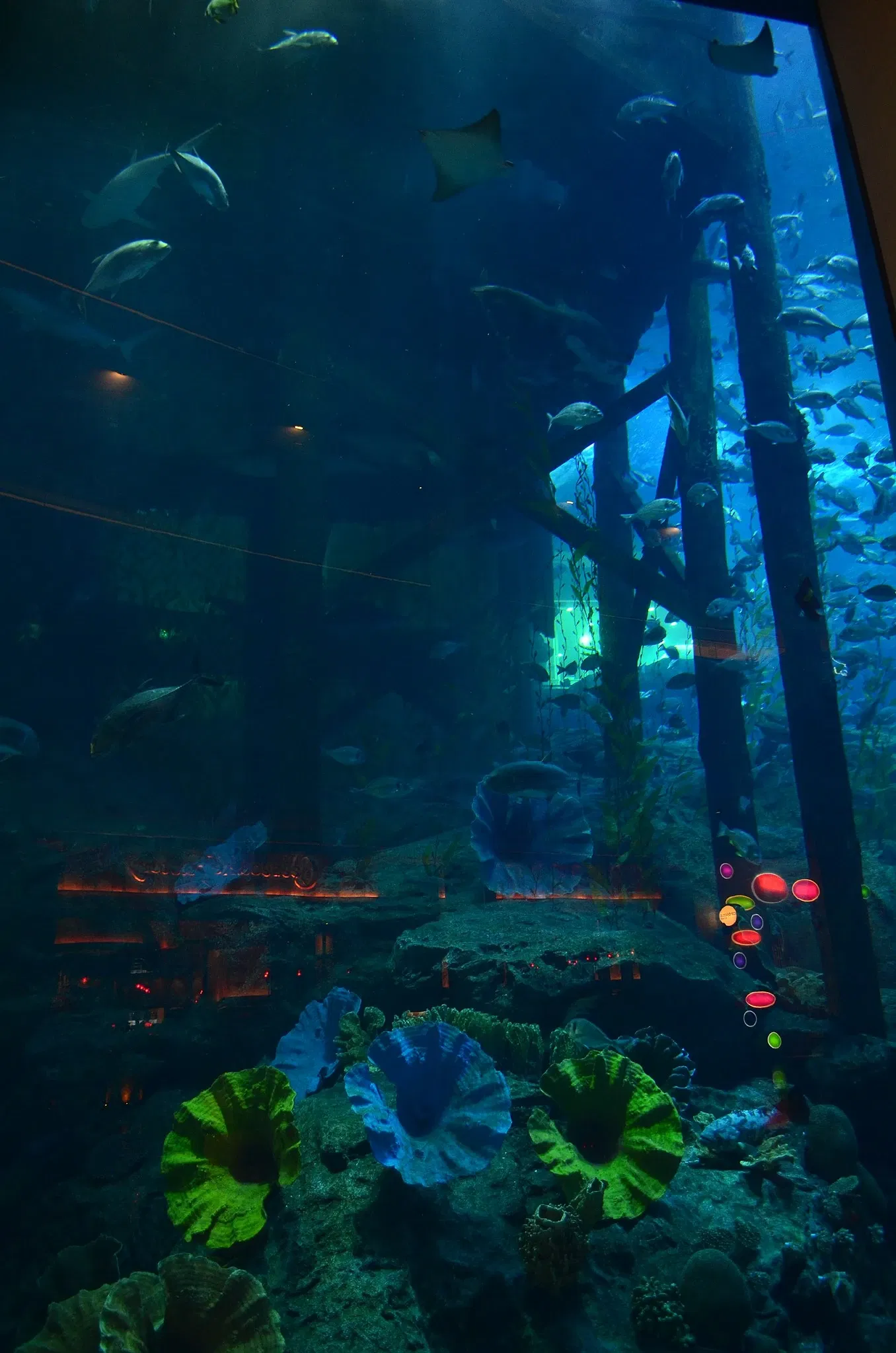 Dubai Aquarium & Underwater Zoo