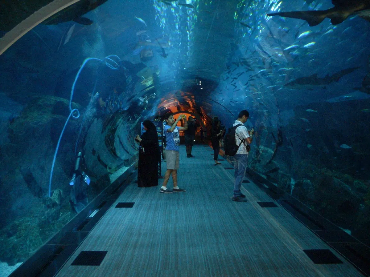 Dubai Aquarium & Underwater Zoo