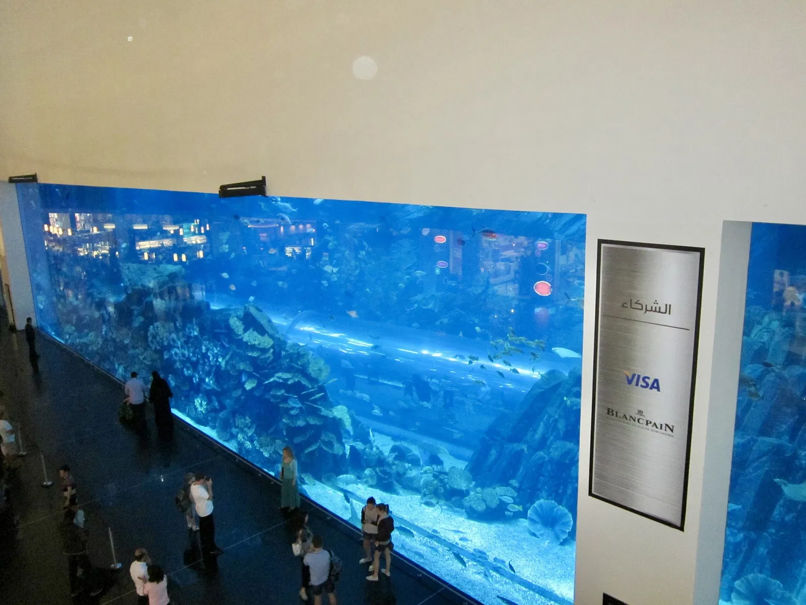 Dubai Aquarium & Underwater Zoo