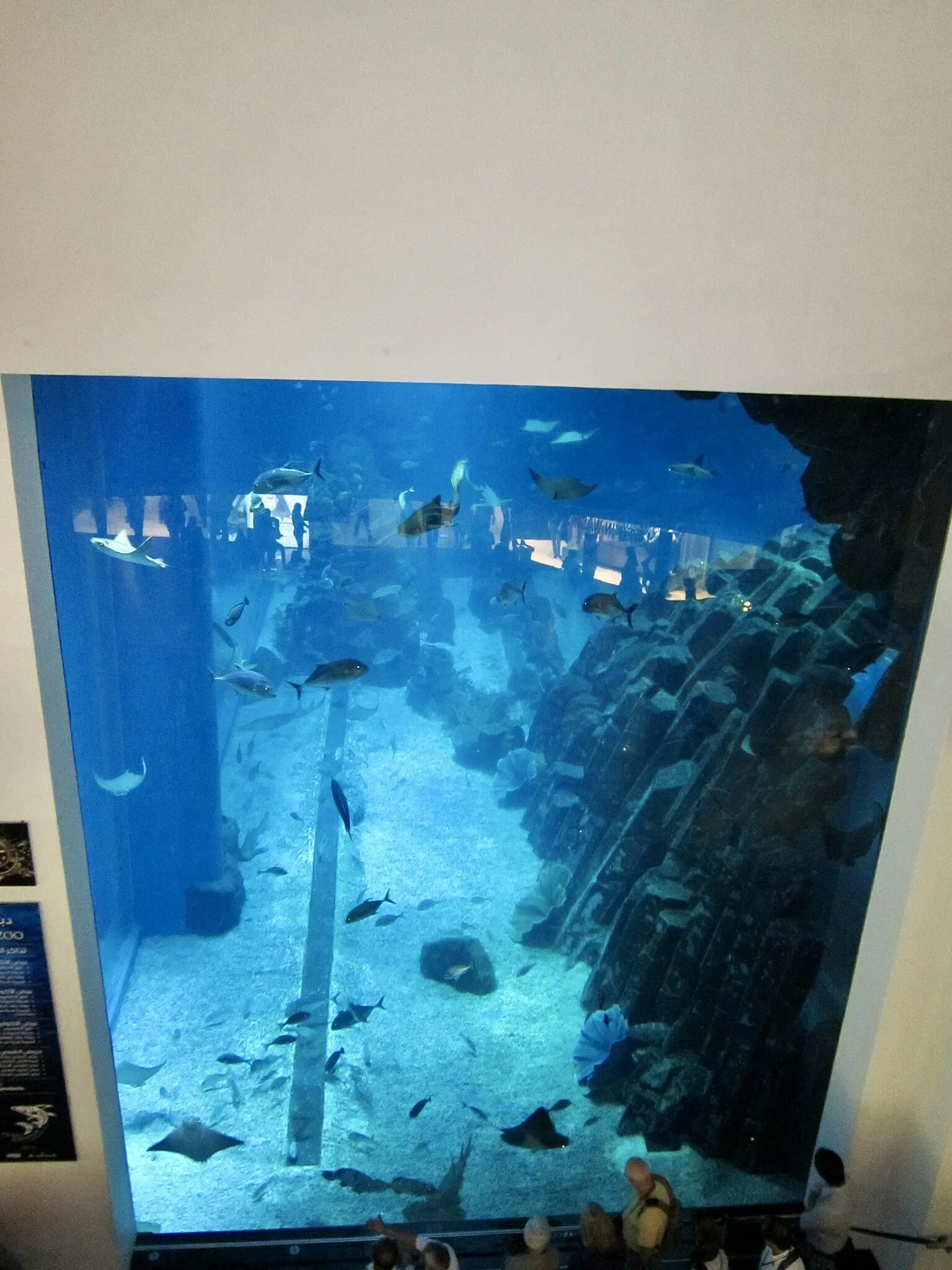 Dubai Aquarium & Underwater Zoo
