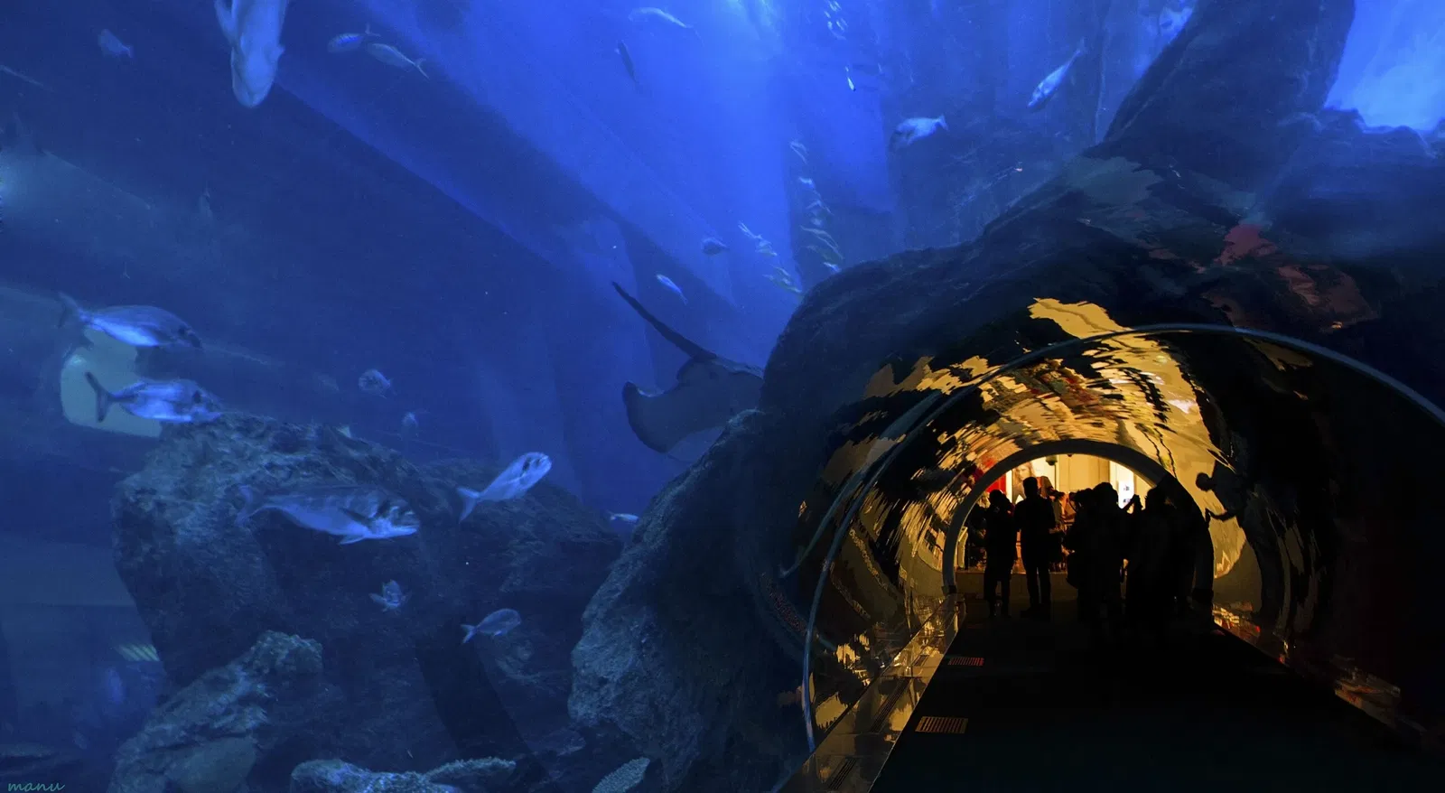 Dubai Aquarium & Underwater Zoo