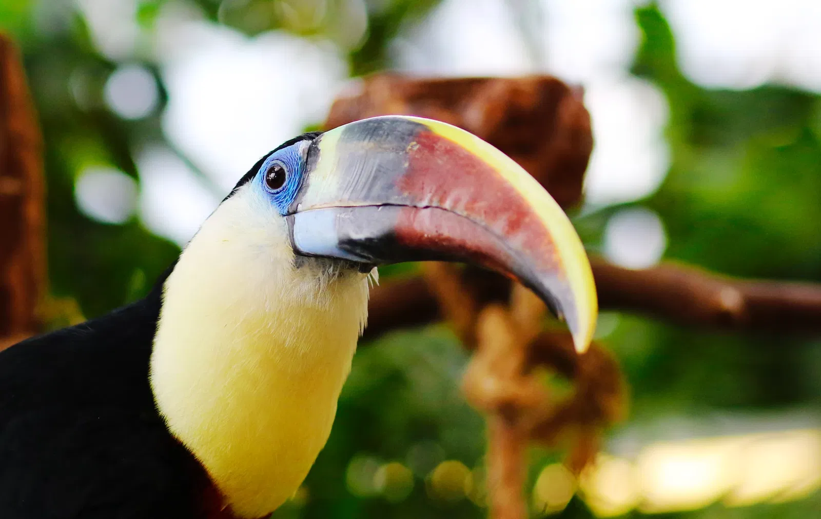 The Green Planet Dubai