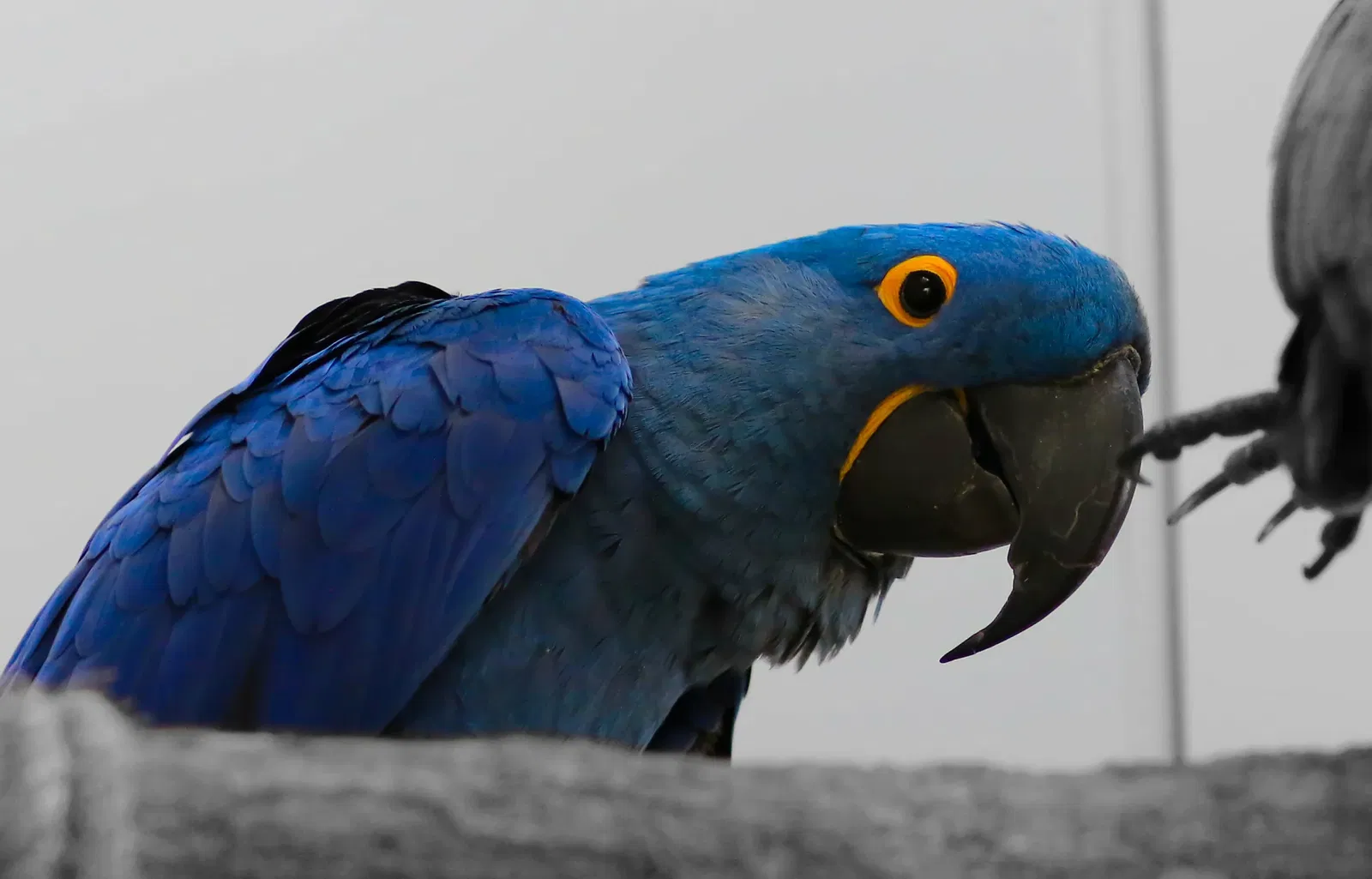 The Green Planet Dubai