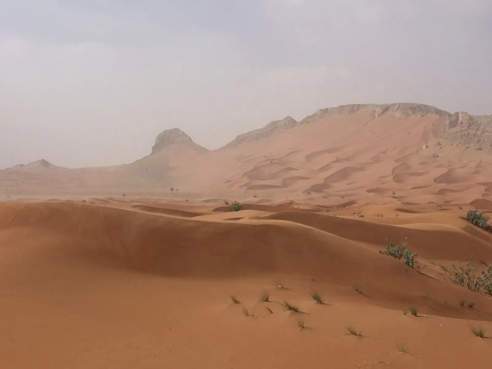 Mleiha Archaeological Centre