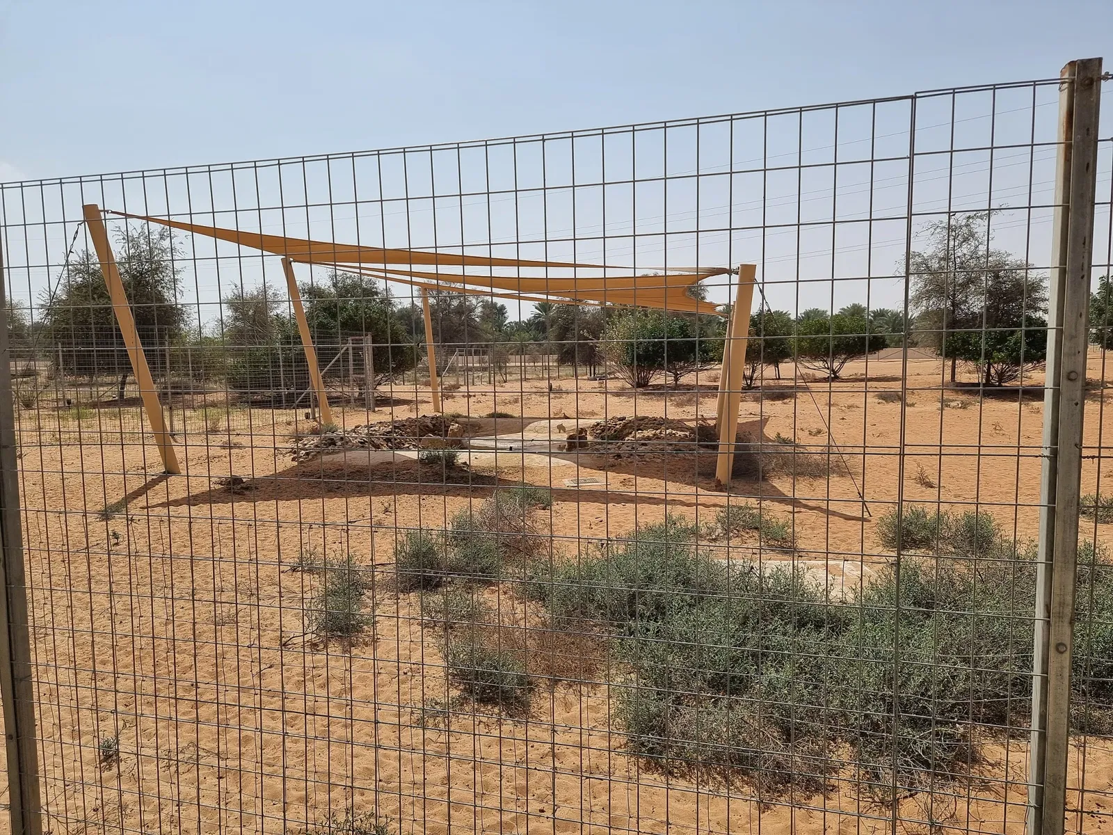 Mleiha Archaeological Centre