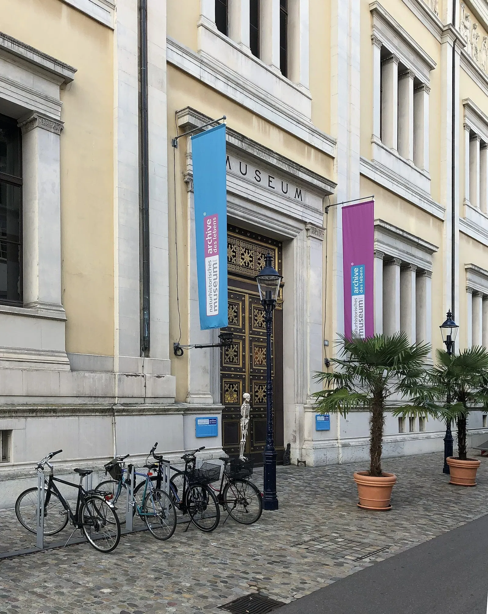 Musée d'histoire naturelle de Bâle