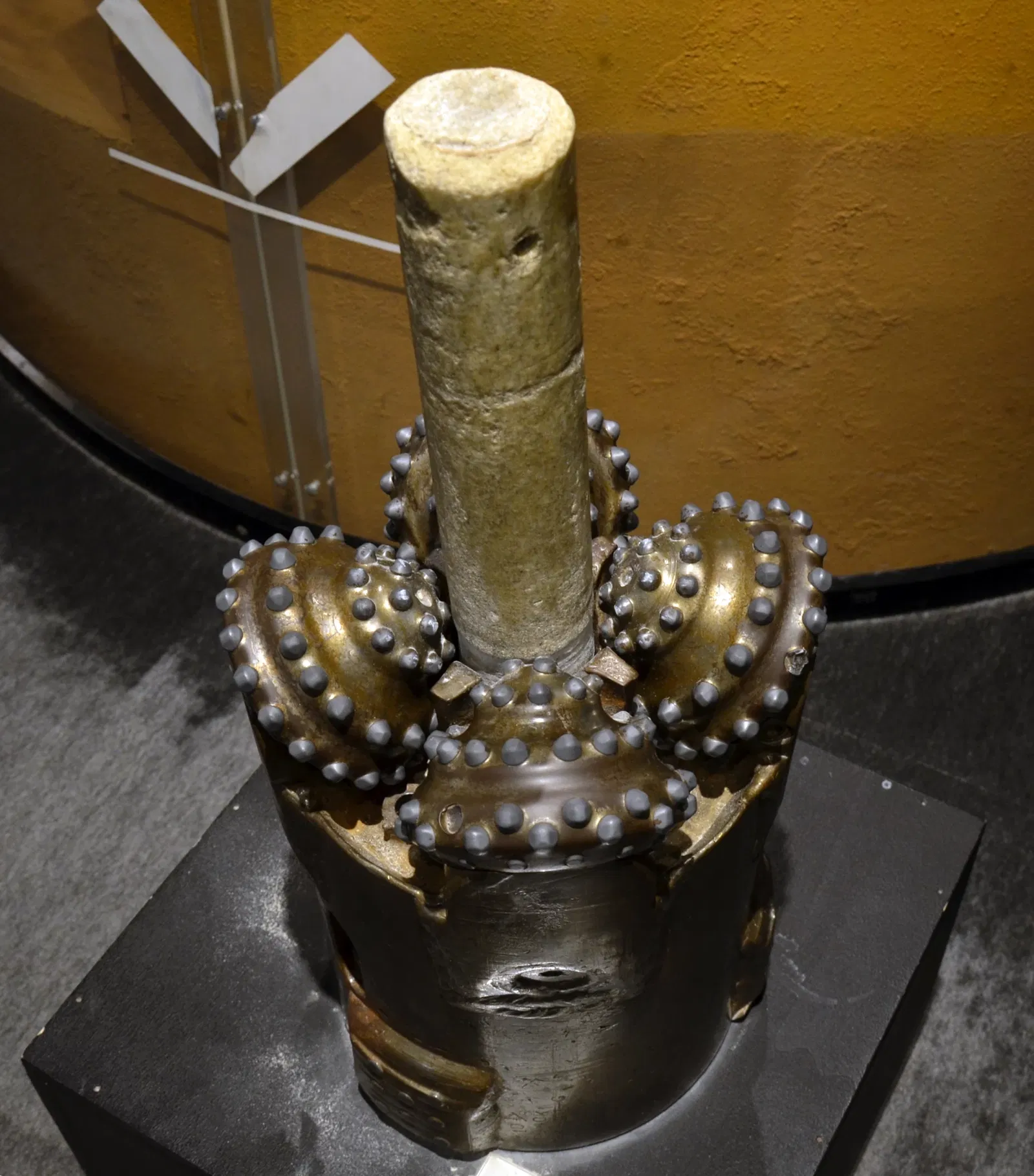 Musée d'histoire naturelle de Bâle