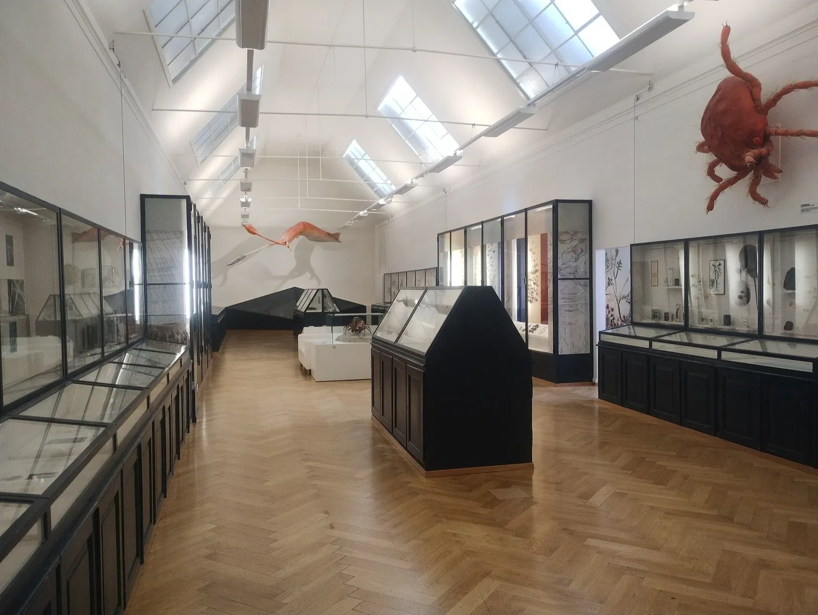 Musée d'histoire naturelle de Bâle