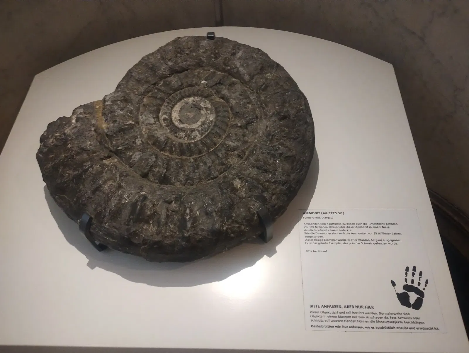 Museo di scienze naturali (Basilea)