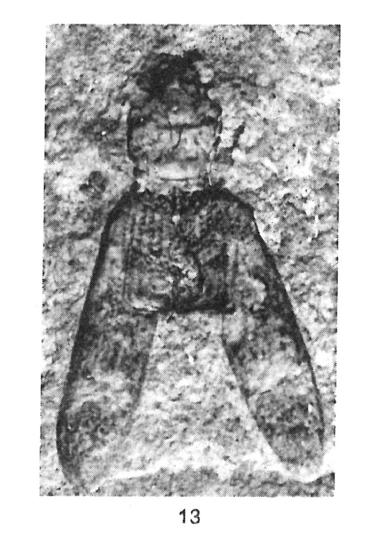 Musée d'histoire naturelle de Bâle