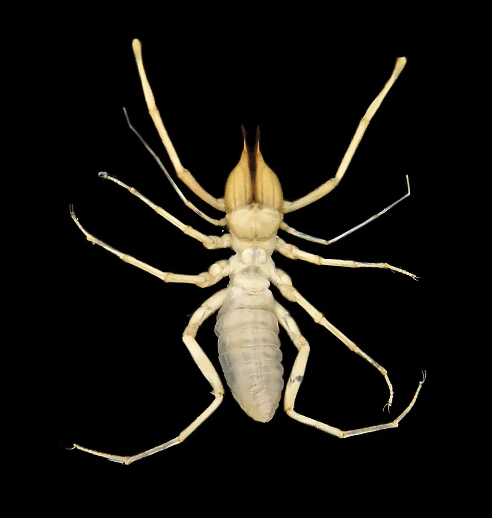 Naturhistorisches Museum Basel